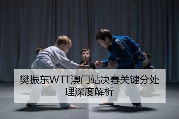 樊振东WTT澳门站决赛关键分处理深度解析